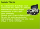 Kurtoğlu vidanjör